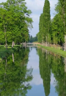 Laxenburg Apartment | Appartement beim Schloss