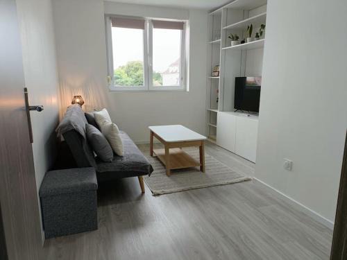 Selestat Apartment | Appartement entier F3 rénové - Petite pause à Sélestat