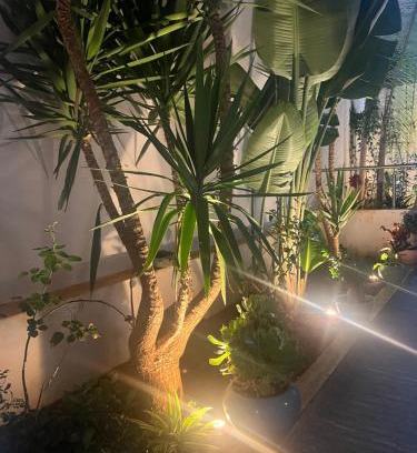 El Mouradia Apartment | Appartement, Infinity