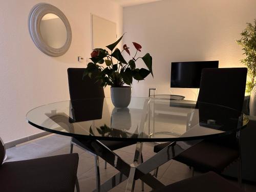 Colomiers Apartment | Appartement T2 proche d'Airbus et centre ville de Toulouse