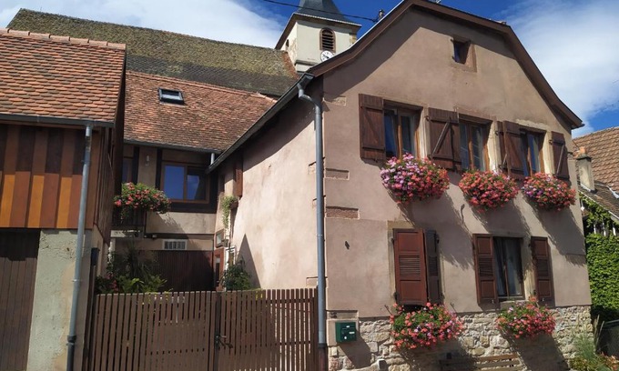 Ottrott Apartment | Appartments Rue Des Châteaux