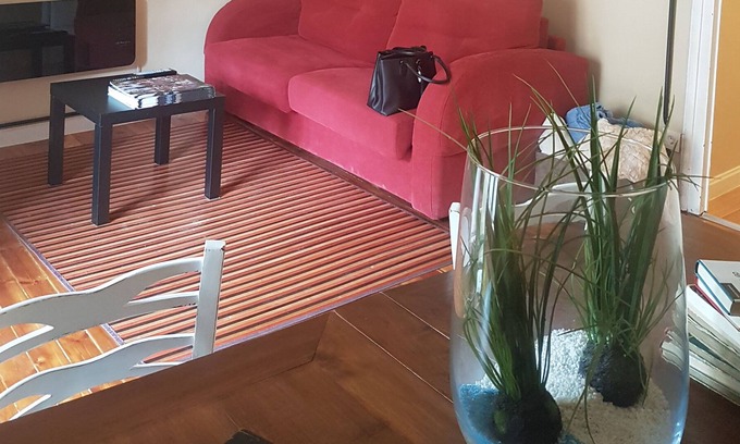 Zamora Condo | Areza, the charm of another century