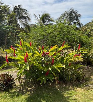Capesterre-de-Marie-Galante House | Au Gré des Alizés - Kaz Soley Péyi