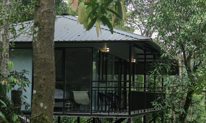 Elappara Villa | Aura Tree House Villa Farm