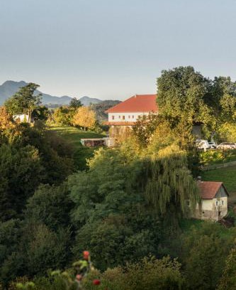 Videm Apartment | Auszeit in den Weinbergen der Untersteiermark