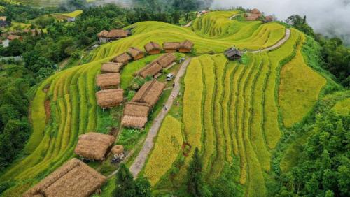 Thong Nguyen Cabin | Bình Minh Homestay