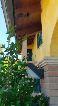 Palestrina Apartment | B&B Camera delle Camelie