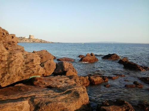 Paringianu Bed & Breakfast | B&B Il Rifugio del Lupo - E6721