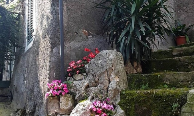 Artena Bed & Breakfast | B&B Rupe Antica