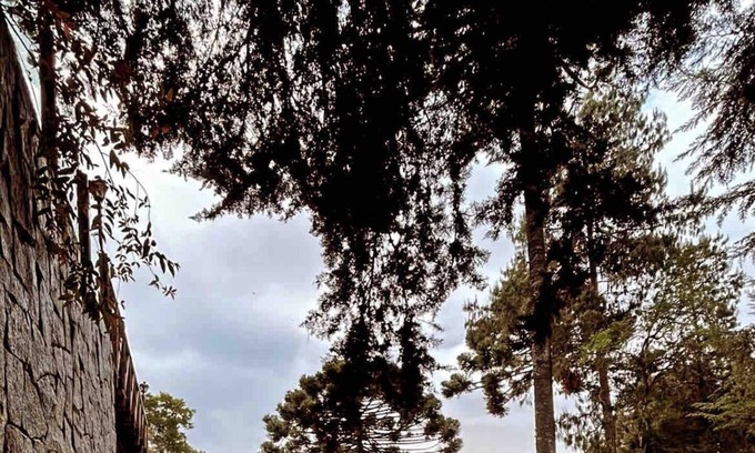 Jardim Andira House | Bangalô Para 2 Pessoas Charmoso e Confortável com Jacuzzi Aquecida !!!