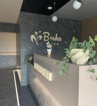Borsec Bed & Breakfast | Barka