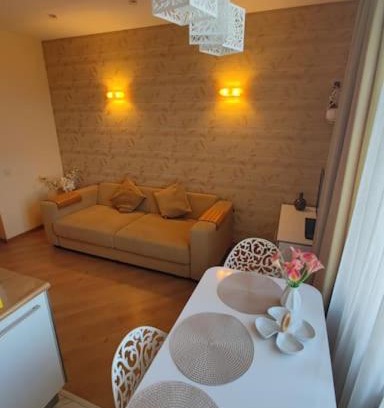 Grizinkalns Apartment | Baroness apartments