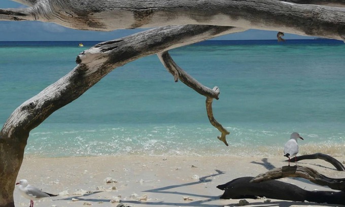 Port Douglas Hotel | Beach Club Port Douglas 3 Bedroom Luxury Apartment