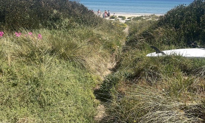 Aspendale Apartment | Beach Front Apartment