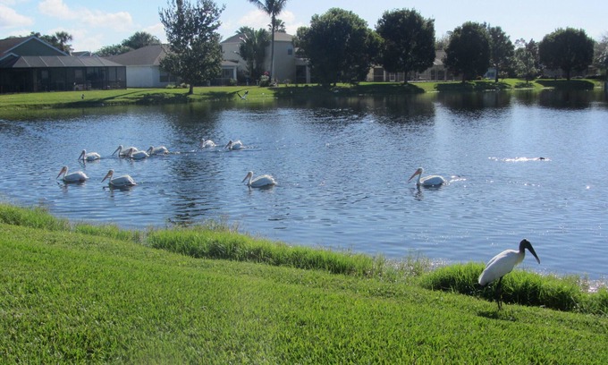 Beachwalk Isles Villa | Beachwalk Isles Executive 4 Bedroom Lakeside Pool Villa