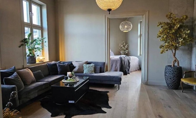 Bjørvika Apartment | Beautiful century apartment in heart of old town