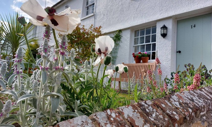 Steyning Cottage | Beautiful cosy Rosebud Cottage in picturesque Steyning