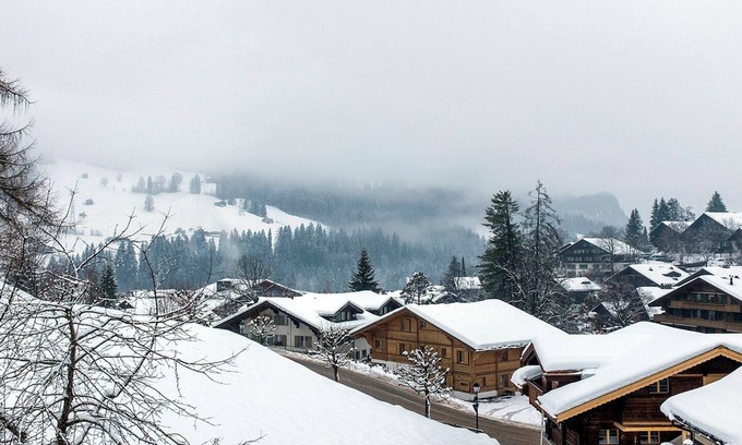 Gstaad Apartment | BEAUTIFUL COZY APARTMENT IN GSTAAD