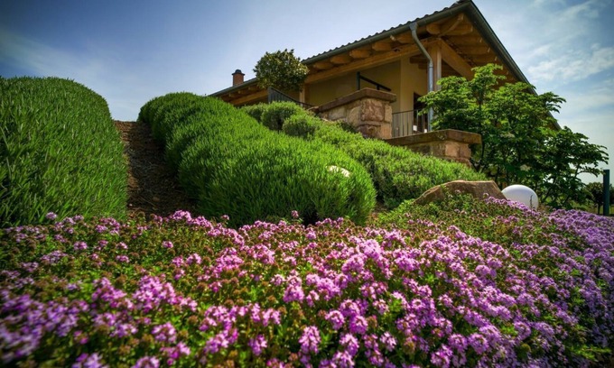 Edenkoben Apartment | Beautiful vacation apartment on the edge of the Palatinate Mountains