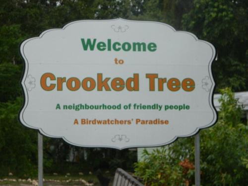 Crooked Tree Bed & Breakfast | Becks Bed & Breakfast