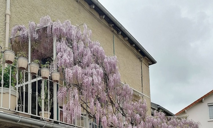 Le Coteau House | Bel Appartement Dans Petite Copropriété