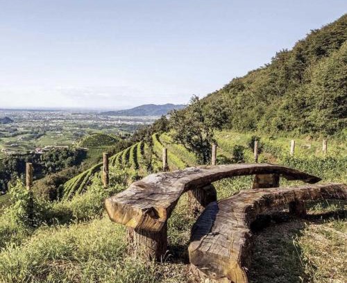 Pederobba Apartment | Bellavista