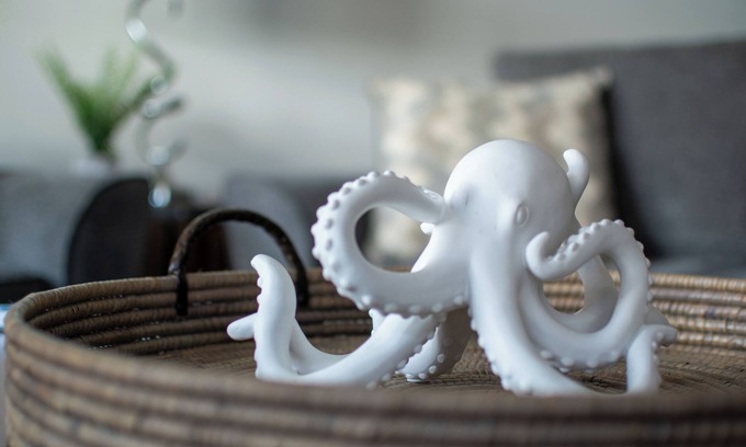 Golden Beach Estates House | Bello 8: 3bedroom/3Bath