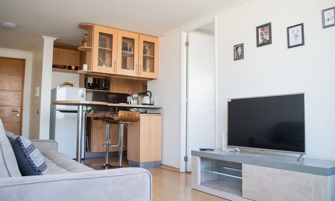 Santiago Apartment | Best view to the Andes