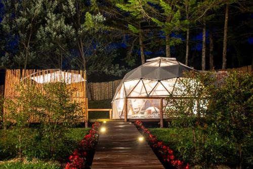 Sonson Other | Boreal Refugio Natural