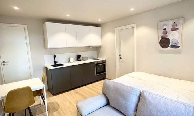Bislett Apartment | Bright & Cozy Studio - Central Location
