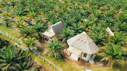 Bugala Island Resort | Bugoma Palms Resort Sand Beach