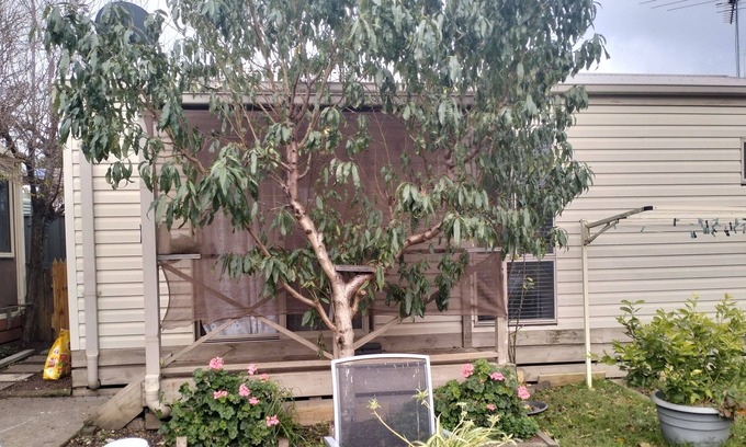 Meadow Heights House | Bungalow Cosystay: Cosy Little Place Overlooking the Back Yard Garden