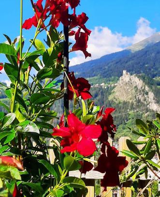 Faggen Apartment | Burg Laudegg Blick