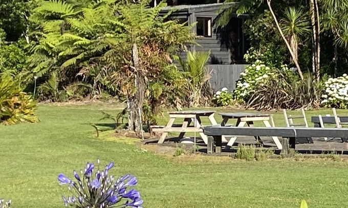 Whangamata Cabin | Bush Edge Studio