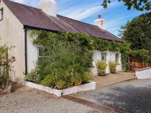 Boduan House | Bwthyn Gwyn Ty'n Y Pant