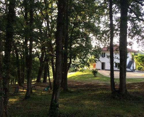 Puycornet Apartment | côté chêne