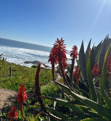 Pichilemu House | Cabaña Mar Pichilemu