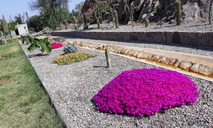 Chilecito Cabin | Cabañas Don Roque