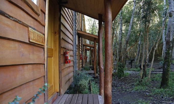 Ensenada Cabin | Cabañas Ensenada Bosque Nativo