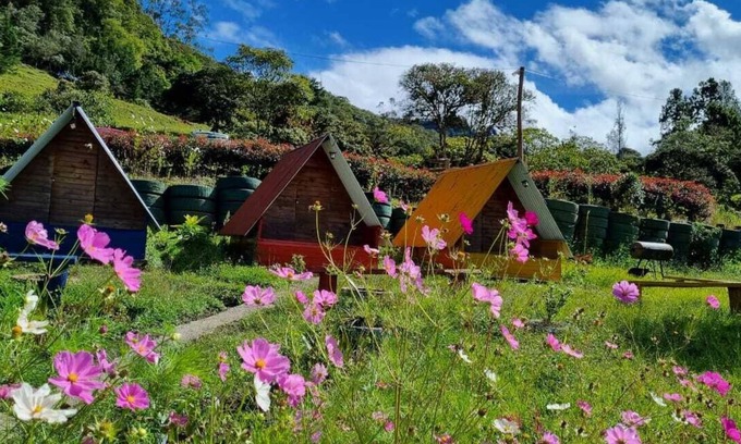 Ubala Cabin | Cabañas la Campiña