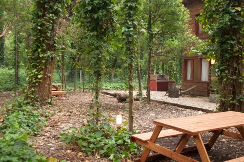 Bosque Peralta Ramos Cabin | Cabañas Las Sirenas