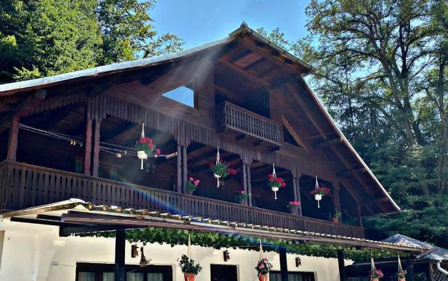 Bradulet House | Cabana Brădetu-Montway
