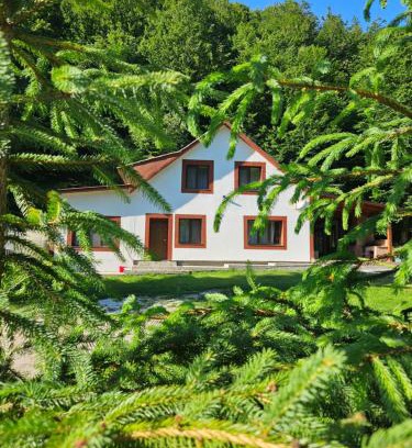 Budureasa House | Cabana Cezar