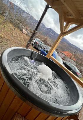 Salciua House | Cabana Ilinca