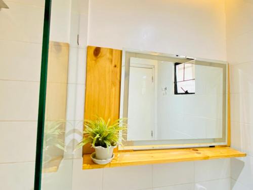 San Jose City Apartment | Cabin Hub’s: Minimalist- Country Style Staycation