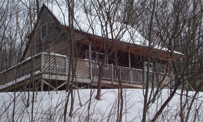 Susquehanna Cabin | Cabin on 4 acres near Elk Mountain/Dogs OK/Easy Drive from Philly and NYC