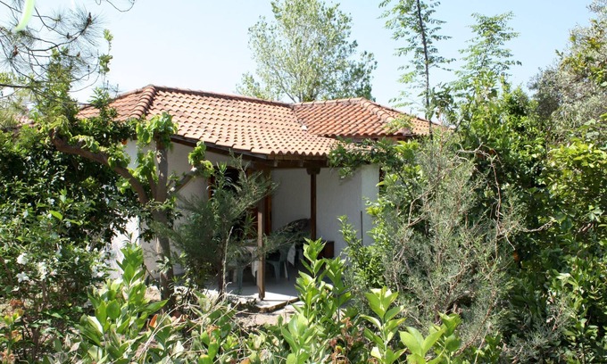 Kakovatos House | Calm located, amid an olive grove, close to the beach, wifi | holiday house Ilia