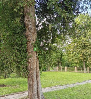 Jelgava Other | Camper and tent place in Jelgava