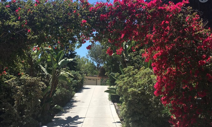 Carlsbad House | Carlsbad Beauty - Privacy, Close to the Beach, Short drive to Del Mar Racetrack