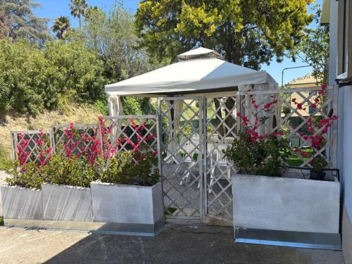 Montefiore dell'Aso Apartment | Casa Azzurra